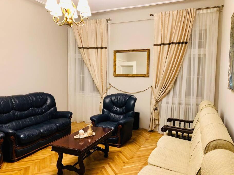 Ultra-Central And Elegant Ap In Opera Square Vic23 Timişoara Extérieur photo
